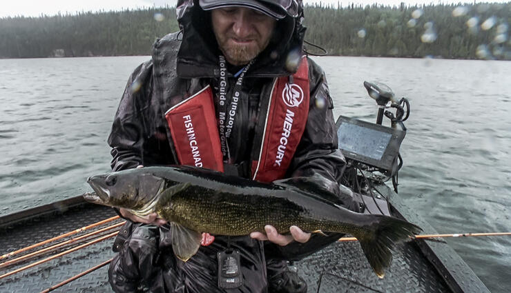 walleye-fishing