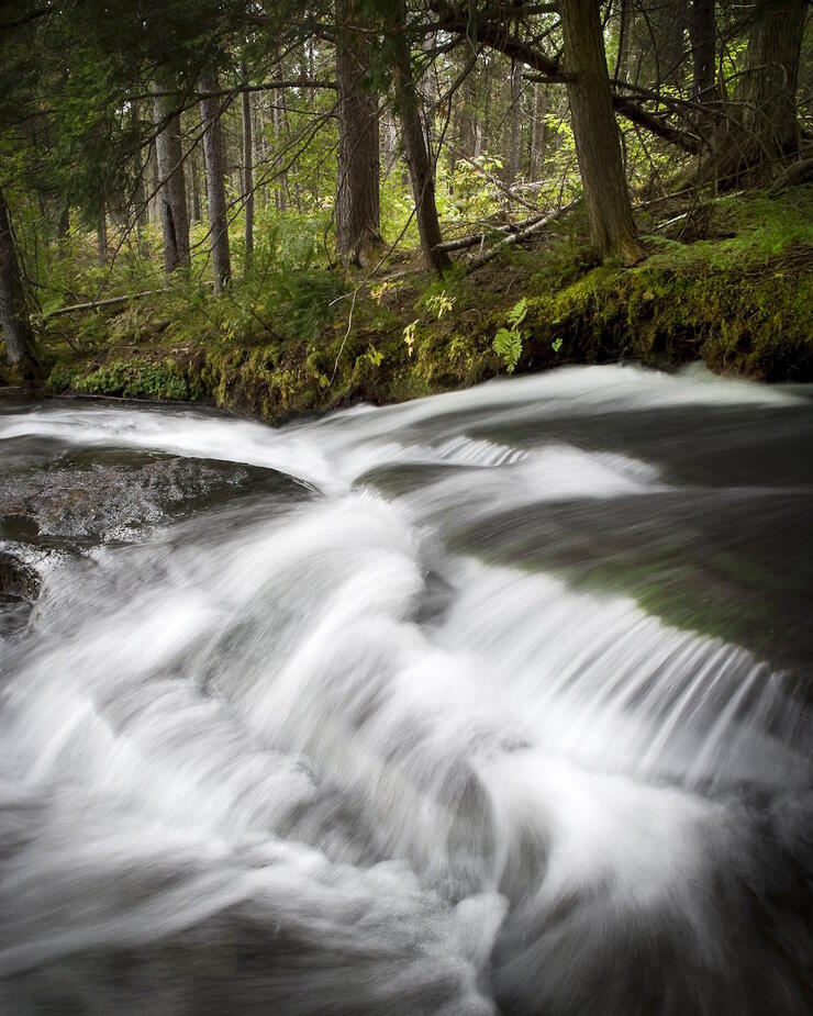 Flowing water over a small waterfall in forest