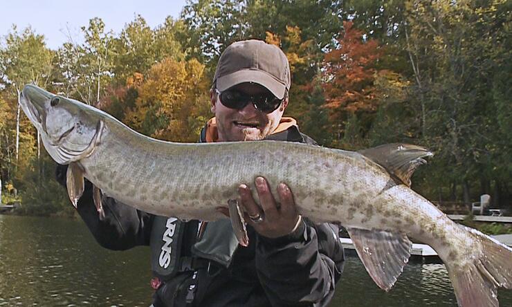 Haliburton