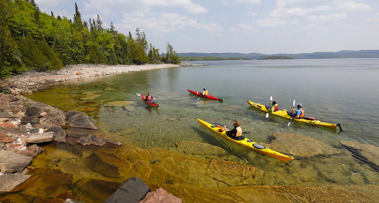 Group of kayakers paddling along a rocky coast