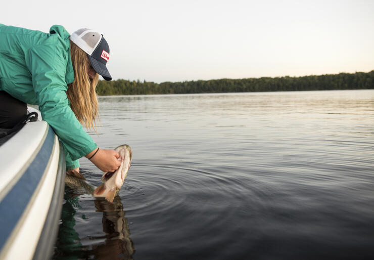 angler releasing northern pike