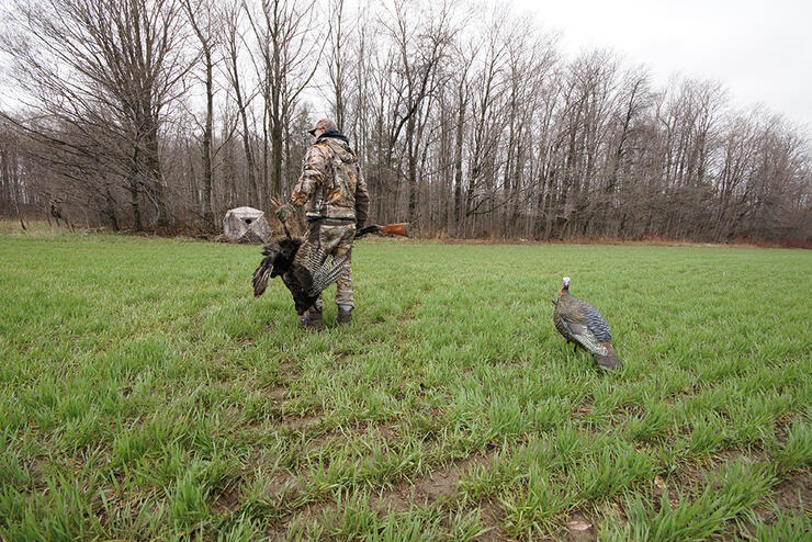 field