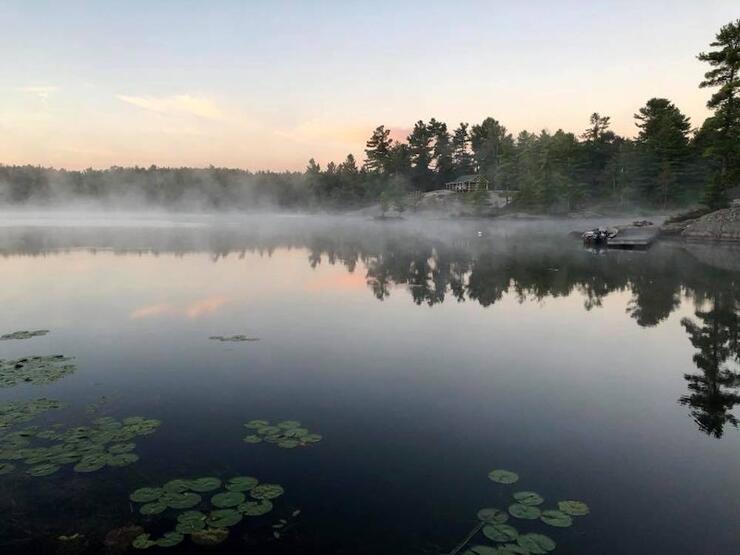 A misty morning on a calm lake with lilypads