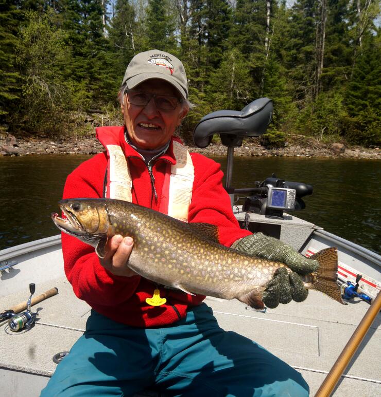 brook trout