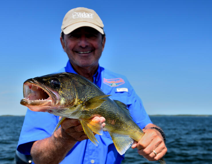 walleye-gord