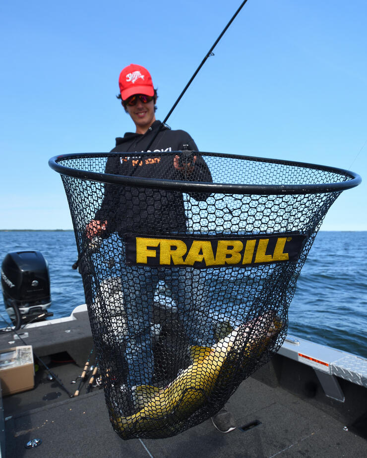 netting-walleye