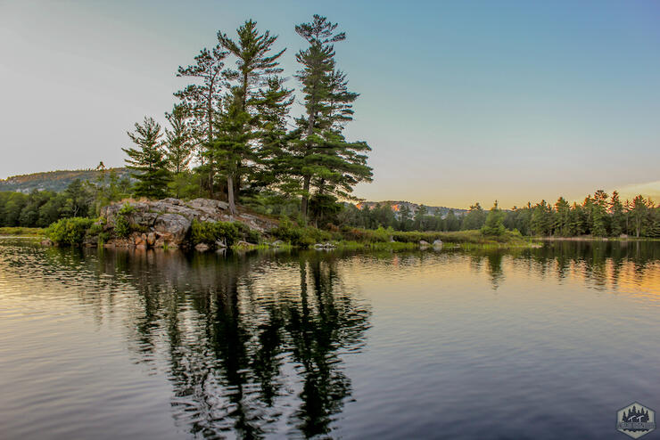 Pine-tree covered rocky island