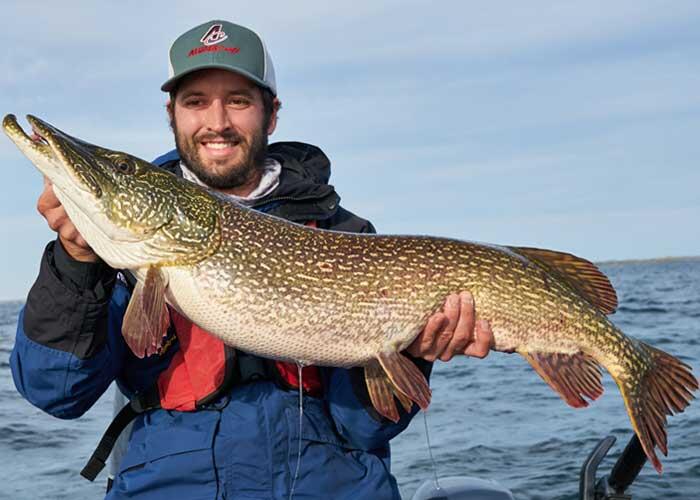 angler holding northern pike