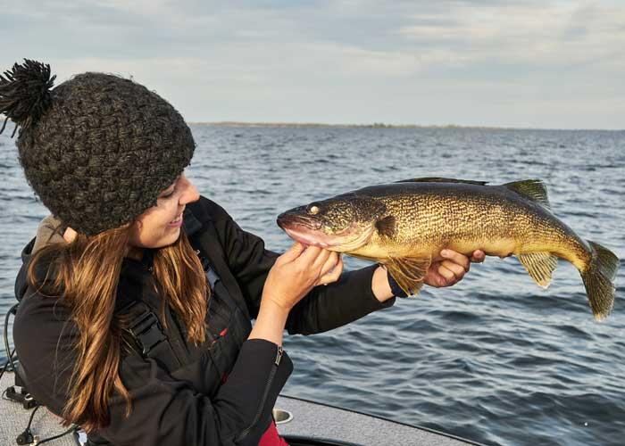 angler holding a walleye