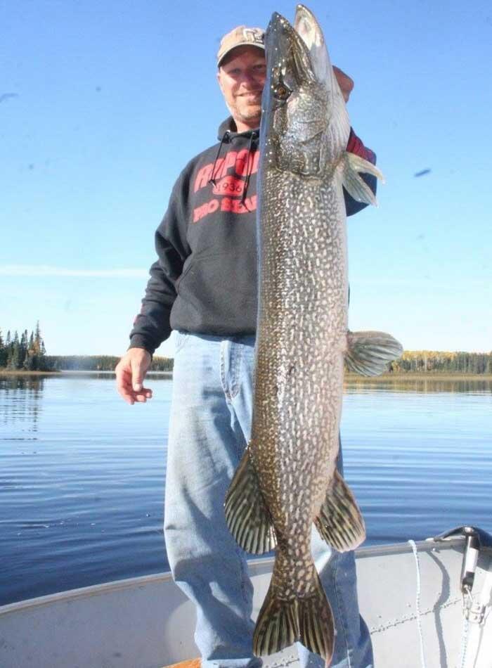 northern pike