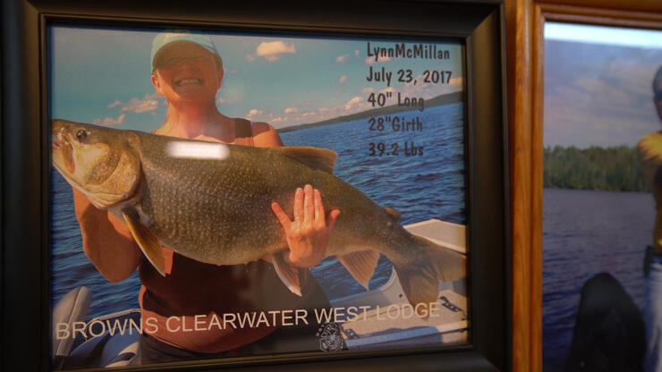 clearwater-trophies-2