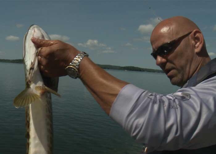 angler holding musky