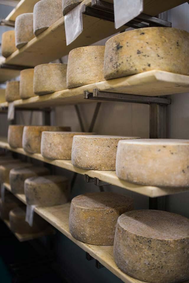 kapuskoise cheese