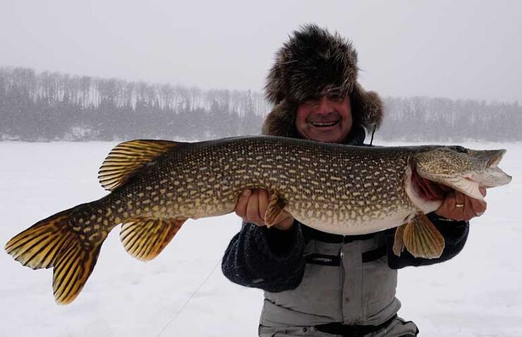 ice angler holding northern pike