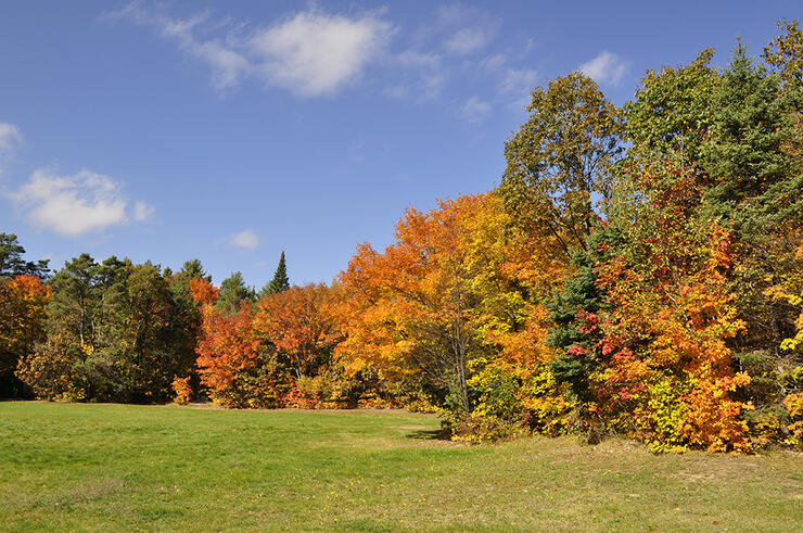 Hiawatha Park