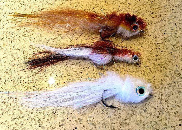 murdish minnows