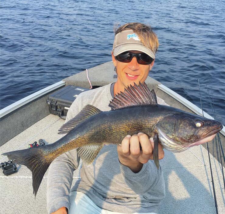 blue walleye