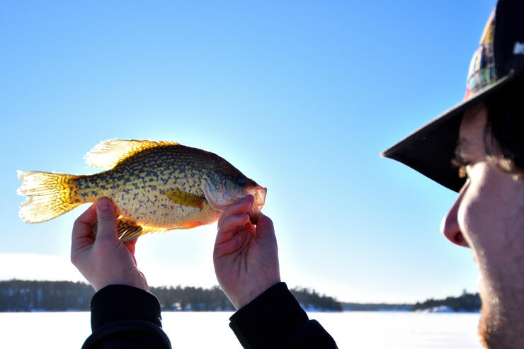 primetime-panfish-4