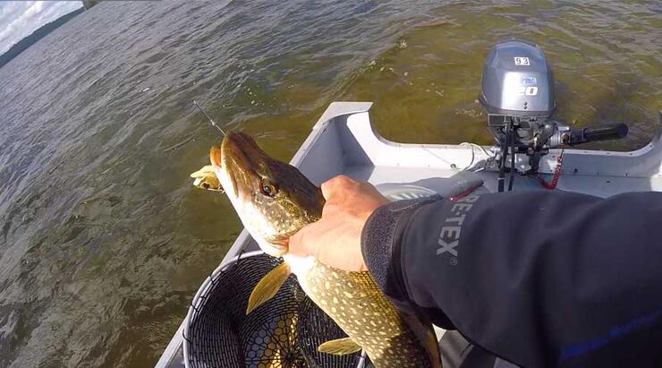 northern pike fishing