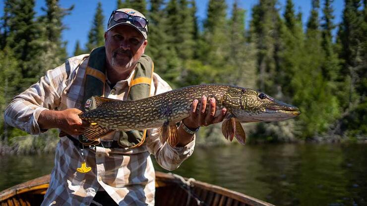 angler fishing northern pike
