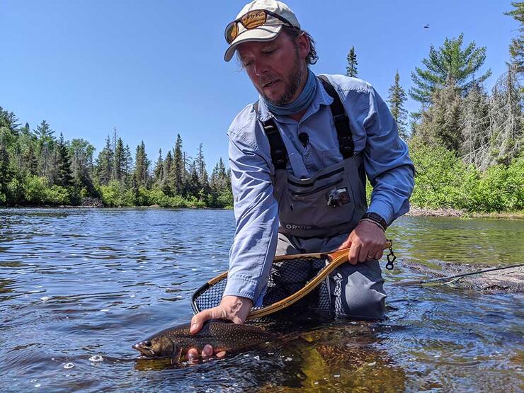 angler releasing brook trout