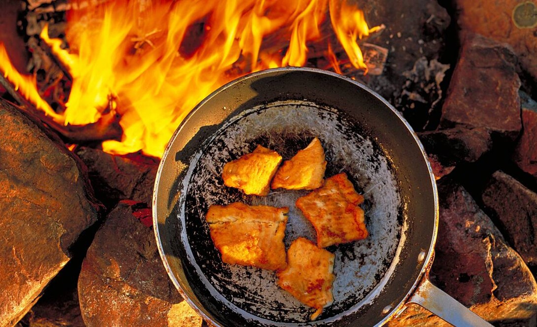 Conseils de cuisson feu de camp! Améliorez votre expérience de camping